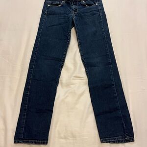 American Eagle Outfitters Dark Blue Straight Leg Jeans